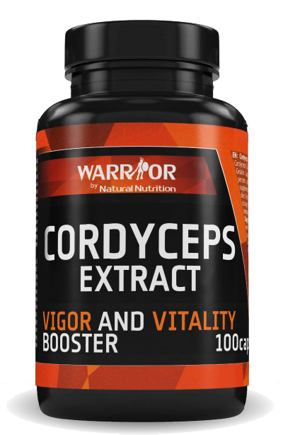 cordyceps