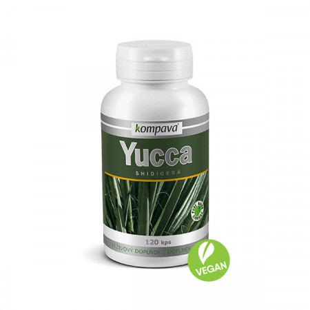 yucca fitness